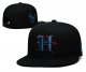 Houston Texans Blue Cap